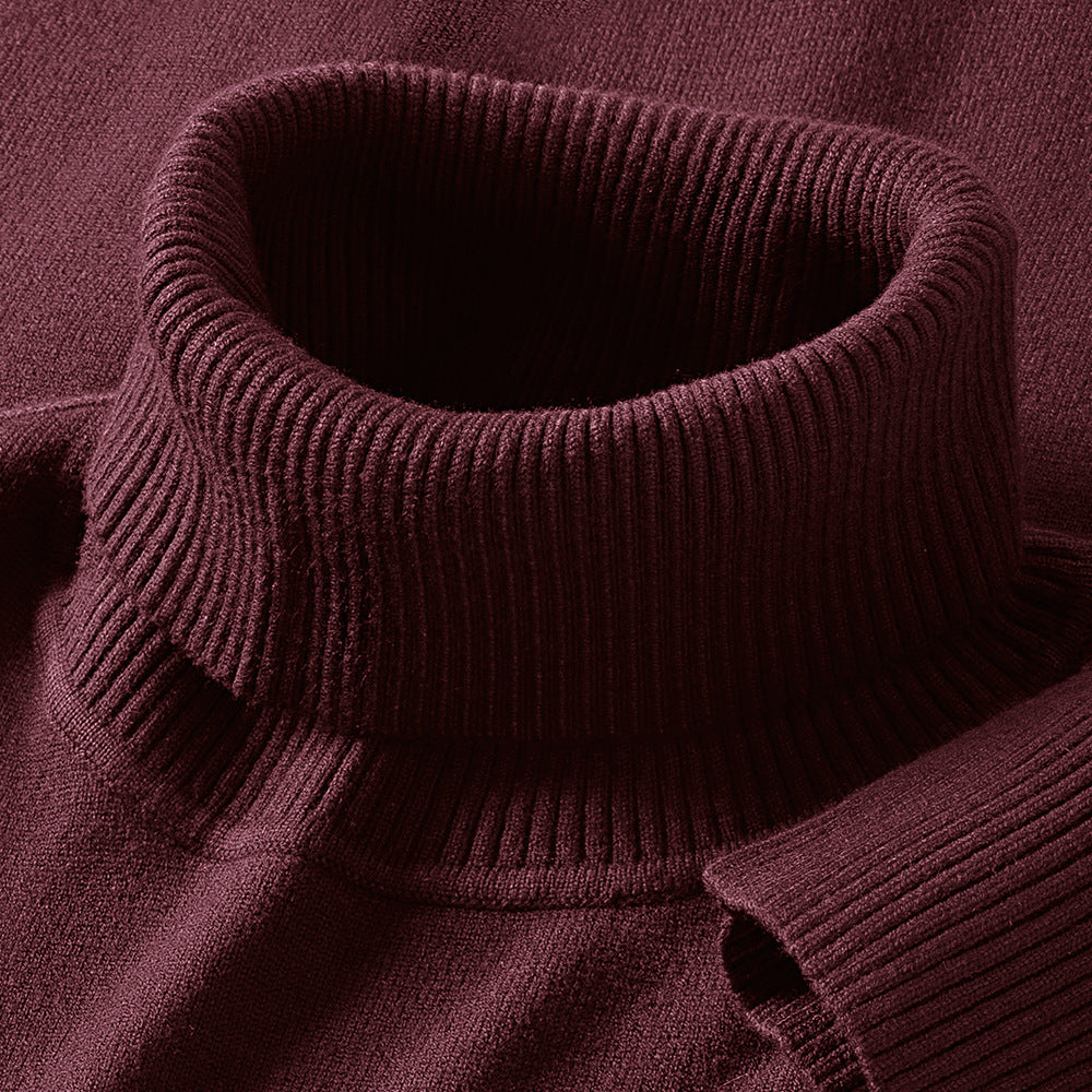 Larson - Classic Knit Turtleneck Sweater